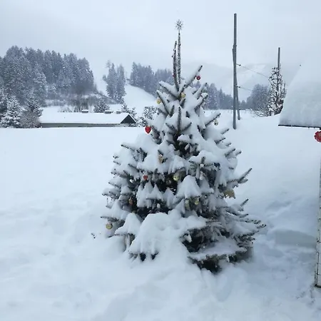 Chalet Chalet Mountain View