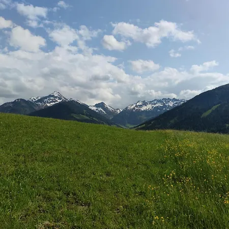 Mountain View Holiday home Alpbach